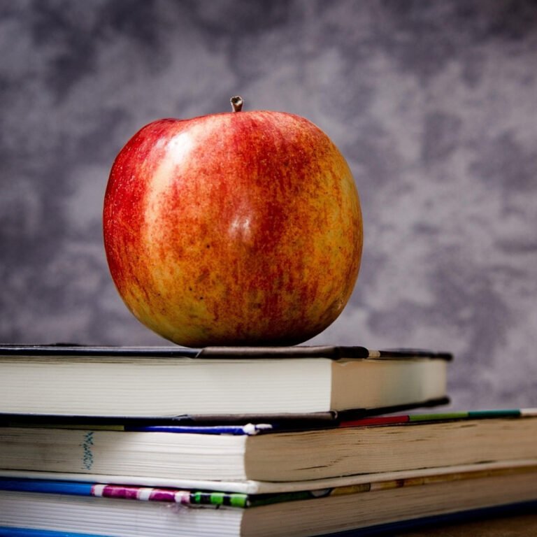 49. Reflexiones que te harán alcanzar un nivel elevado en tu vida